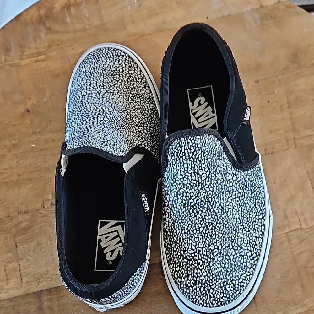 Vans Asher Spot Slip on